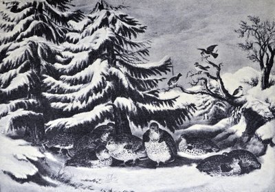 Innevato, gallo cedrone in inverno da N. and Ives, J.M. Currier